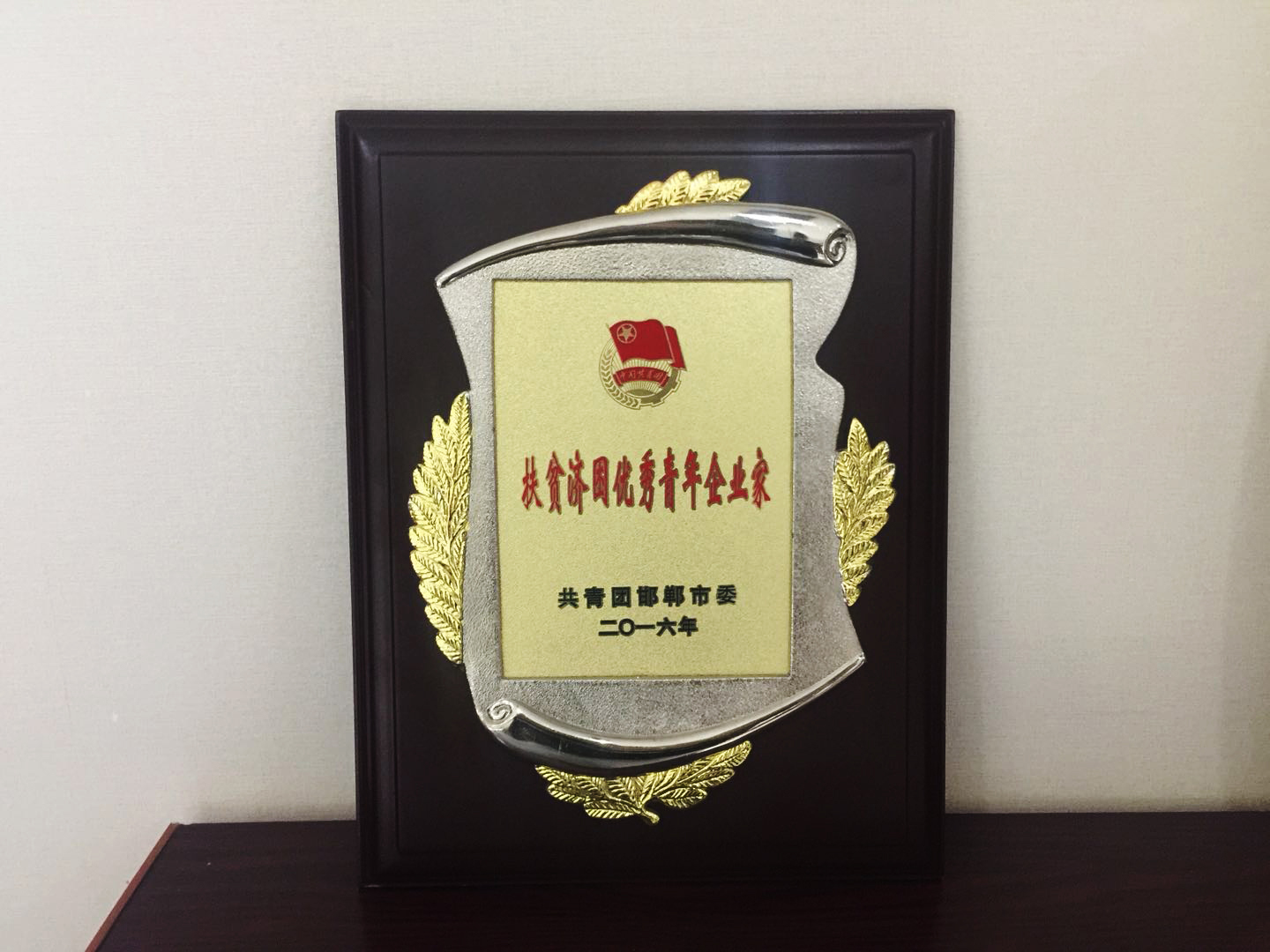 扶貧濟困優秀青年企業家